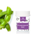 Phospholipon® 80H