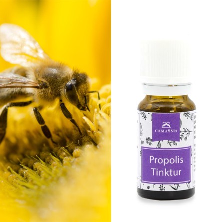 Propolis Tinktur 10 ml