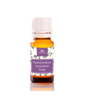 Hyaluronsäure Liposomen Fluid