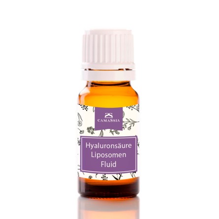 Hyaluronsäure Liposomen Fluid
