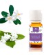 Natürlicher Duft Jasmin & Neroli