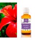 Hibiskusextrakt (Hydroglycerinextrakt)