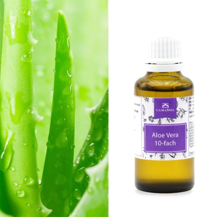 Aloe Vera 1:10