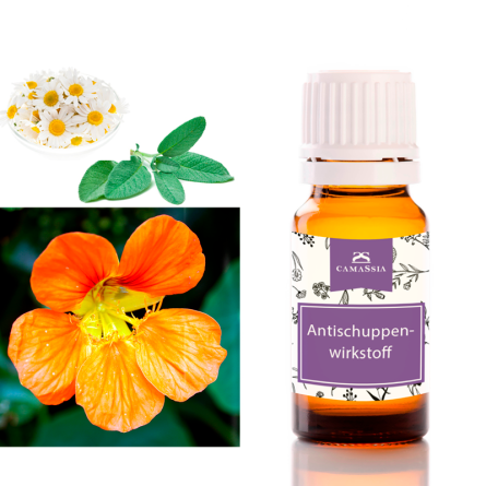 Antischuppenwirkstoff