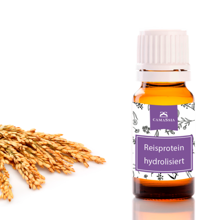 Hydrolisiertes Reisprotein