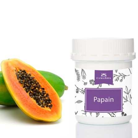 Papain (peelendes Enzym der Papaya)