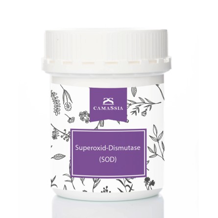 Superoxid-Dismutase (SOD)
