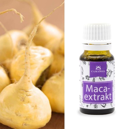 Macaextrakt (Wirkstoff für Haarwachstum)