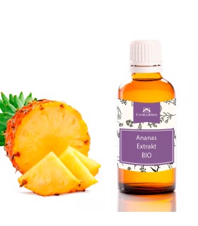 Ananas Extrakt BIO