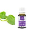 Gotu Kola Extrakt