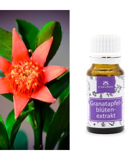 Granatapfelblütenextrakt