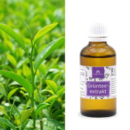 Grünteeextrakt 50ml