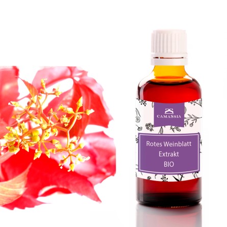 Rotes Weinblattextrakt BIO