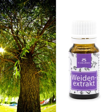Weidenextrakt (pflanzliche Salicylsäure)