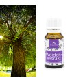 Weidenextrakt (pflanzliche Salicylsäure)