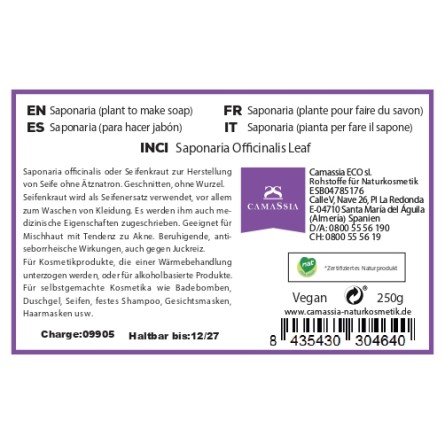 Saponaria (Seifenkraut)