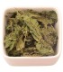 Brennnessel BIO ( Urtica Dioica)