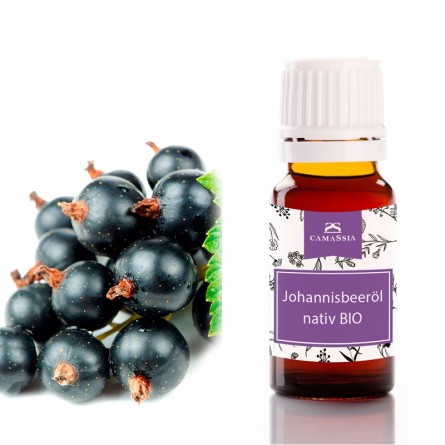 Johannisbeersamenöl BIO nativ (Schwarze Johannisbeere)