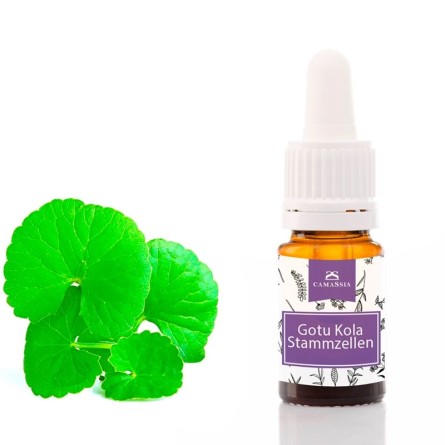 Gotu Kola Stammzellen für Naturkosmetik