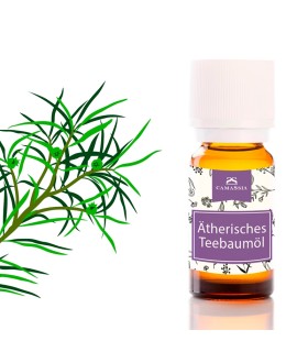 Ätherisches Teebaumöl (Melaleuca Alternifolia)
