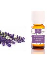 Ätherisches Lavendelöl Montblanc