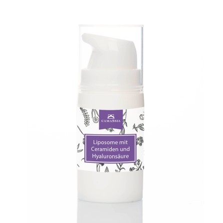 Liposomalkomplex aus Ceramiden und Hyaluronsäure