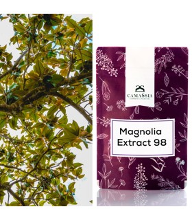 Magnolia Extract 98