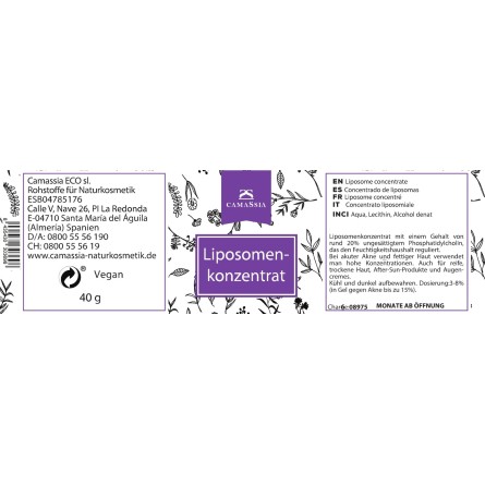 Liposomenkonzentrat 40 g