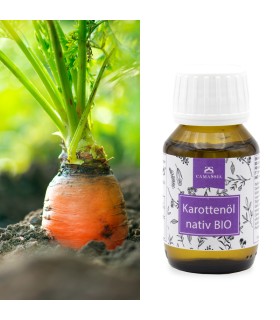 Karottenöl BIO nativ