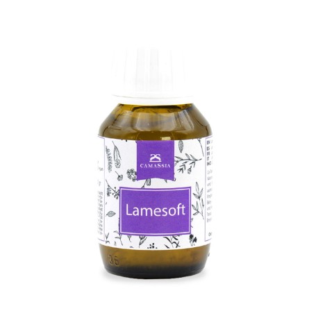 Lamesoft
