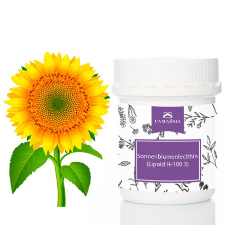Sonnenblumenlecithin (Lipoid H-100 3)